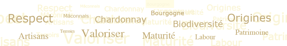 Respect, Mâconnais, Chardonnay, Origines, Biodiversité, Terroirs, Valoriser, Artisans, Maturité, Labour, Patrimoine