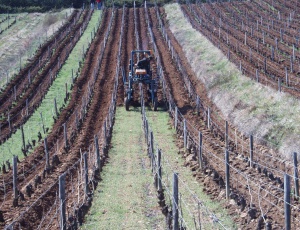 Domaine Guillot-Broux