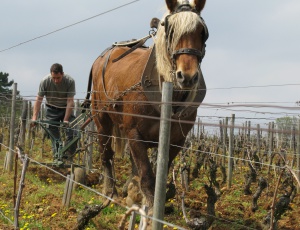 Bret Brothers & La Soufrandière