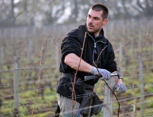 Domaine Frantz Chagnoleau