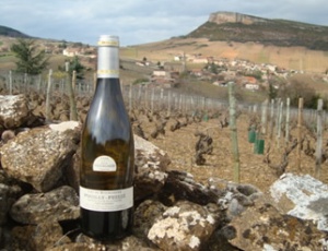 Domaine Pierre Vessigaud