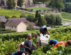 Domaine de la Sarazinière