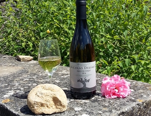 Domaine Nicolas DELFAUD