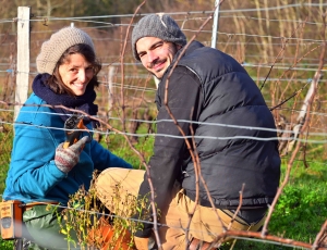 Domaine du Clos Sauvage